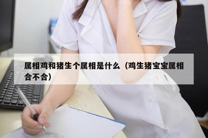 属相鸡和猪生个属相是什么（鸡生猪宝宝属相合不合）