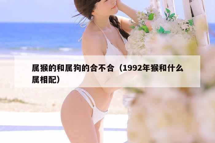 属猴的和属狗的合不合（1992年猴和什么属相配）