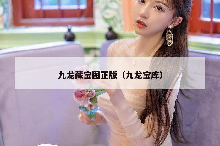 九龙藏宝图正版（九龙宝库）